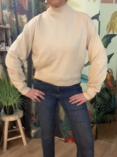 Pull Col Montant Mandevilla Laure+Max 2